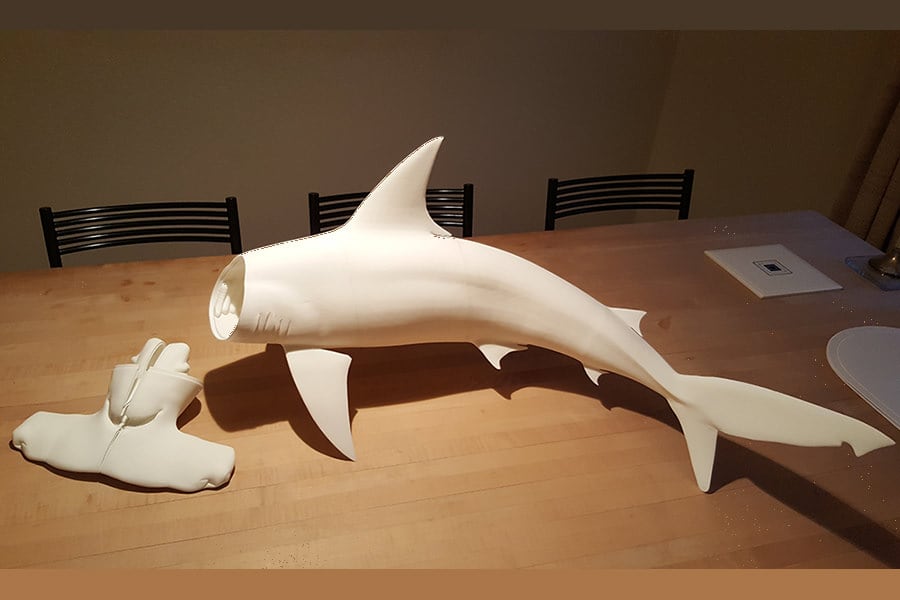 Shark Model 3D Print