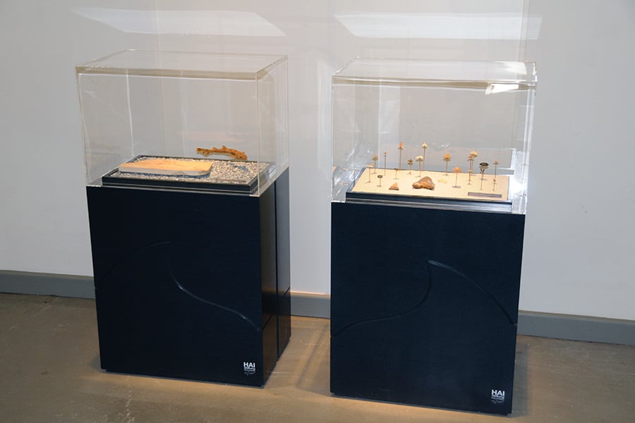 Display Cases in Maritime Museum Stralsund