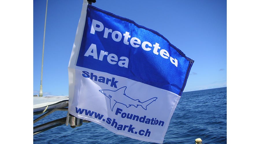 Flag of the Shark Foundation  Fiji